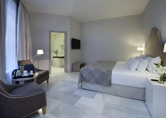 Nh Collection Palacio De