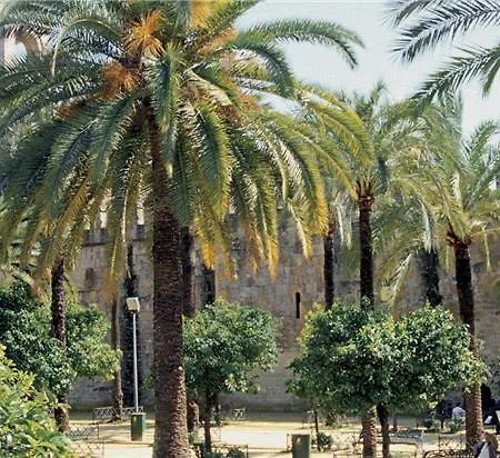 Nh Collection Amistad Hotel