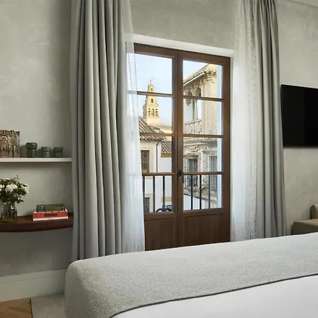 Nh Collection Palacio De Hotel 5*