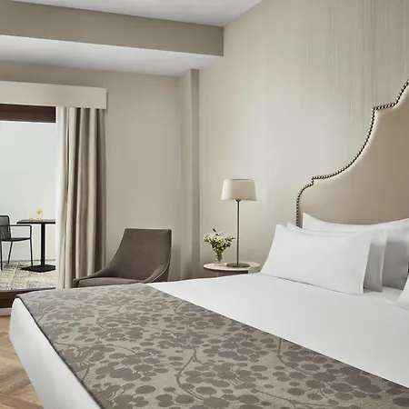 Nh Collection Palacio De
