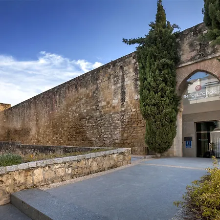 Hotel Nh Collection Palacio De