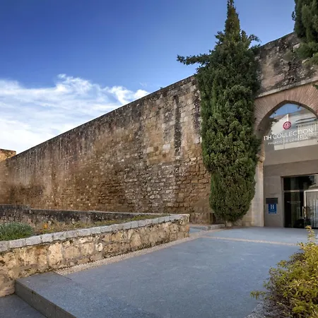 Hotel Nh Collection Palacio De