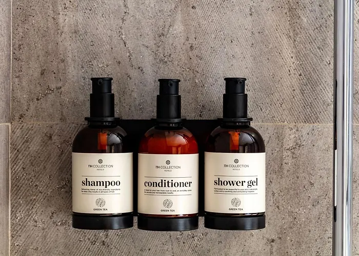 Nh Collection Palacio De Hotel 5*