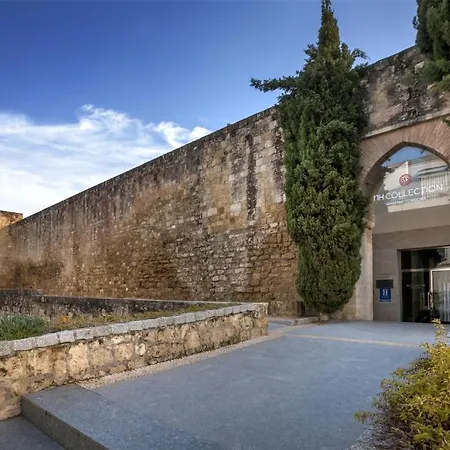 Nh Collection Palacio De 5*