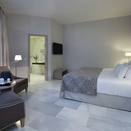 Nh Collection Palacio De